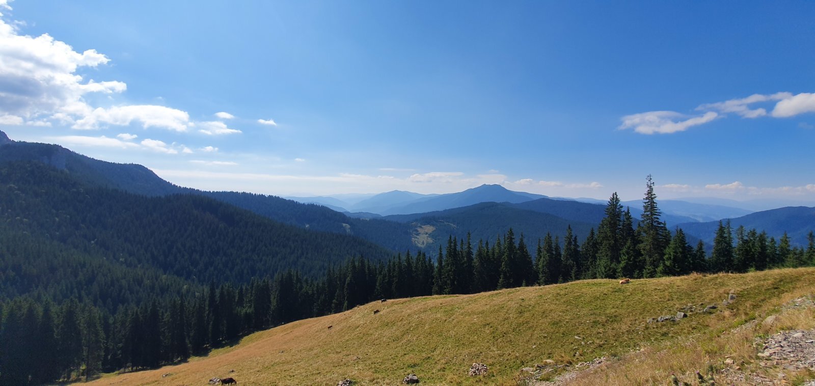 20190821_105617.jpg