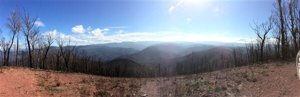 IMG_6586.jpg