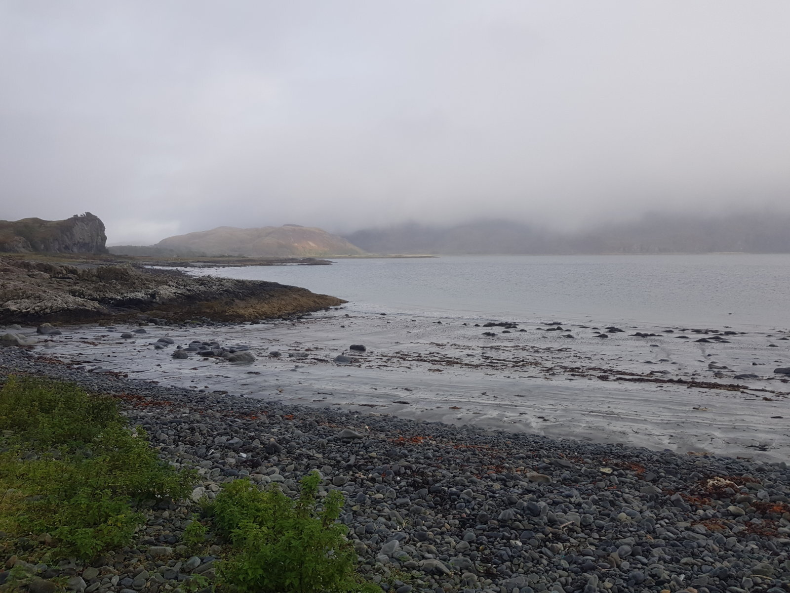 20190918_172042.jpg