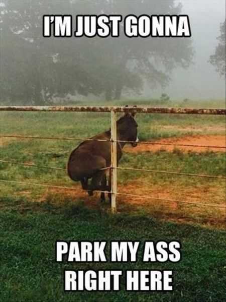 Funny-Pictures-That-Will-Make-Your-Day-008.jpg