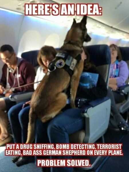 Funny-Pictures-That-Will-Make-Your-Day-009.jpg