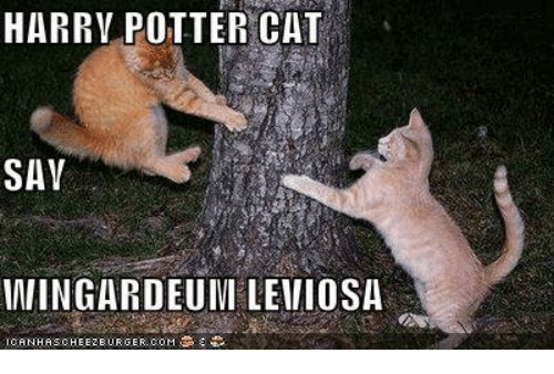 harry-potter-cat-sav-iningardeuinileviosa-icanhascheezeurger-com-8184924.png