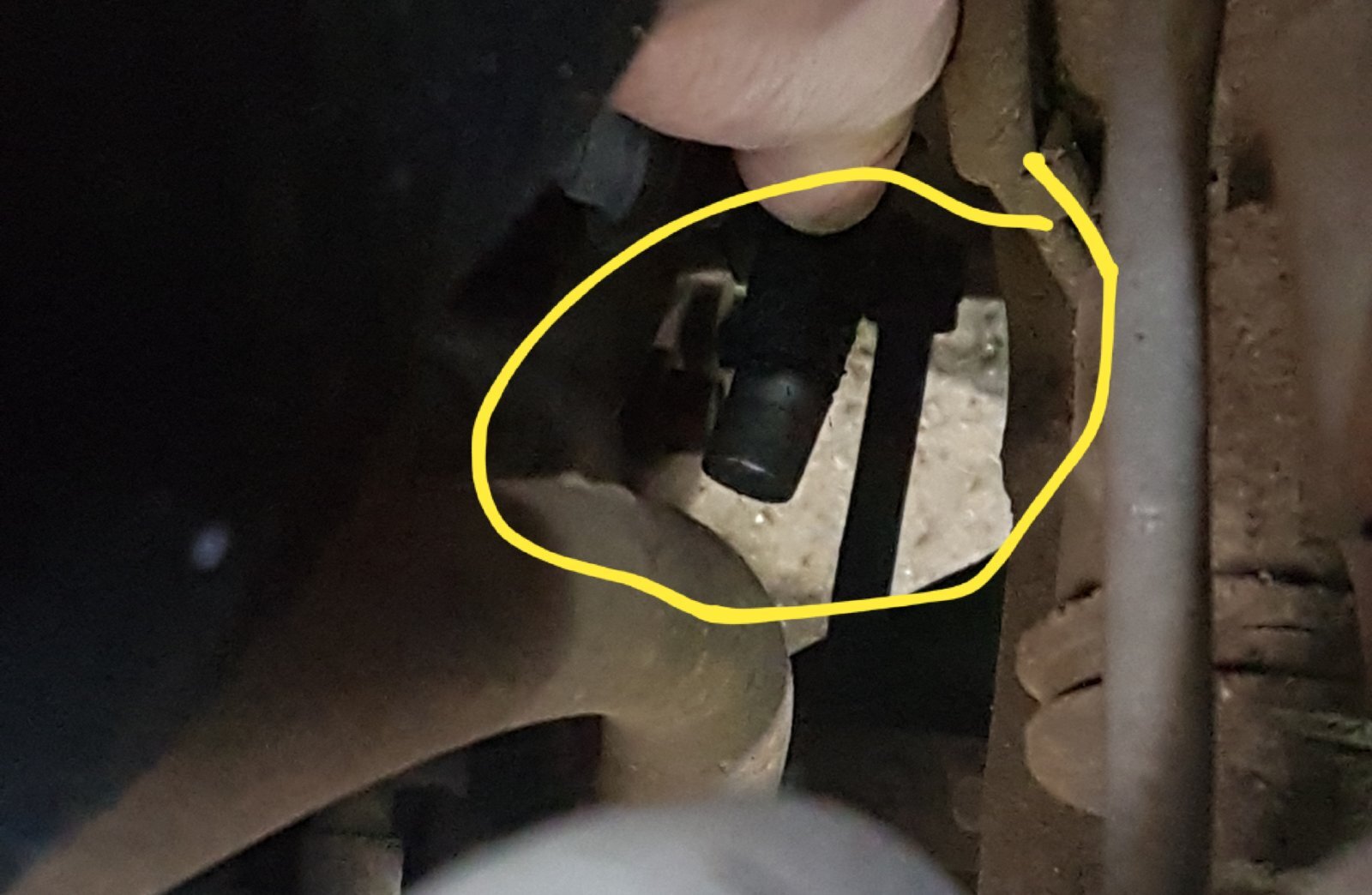 20191223_174346.jpg