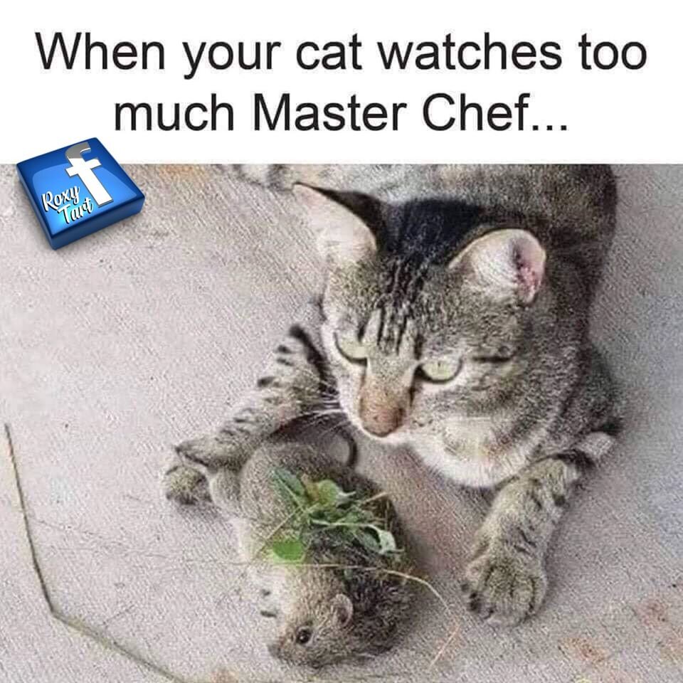 Chef.jpg