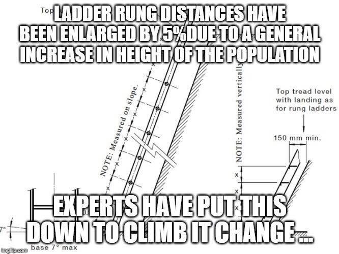 ladder.jpg