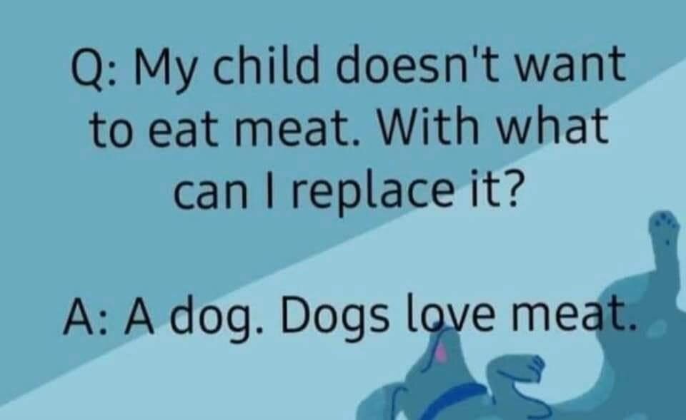 dog.jpg
