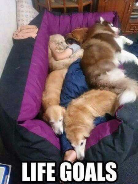 VERY-Funny-Animal-Pictures-005.jpg
