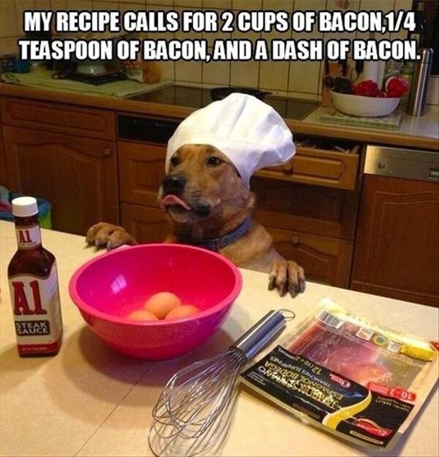 dog-needs-bacon.jpg