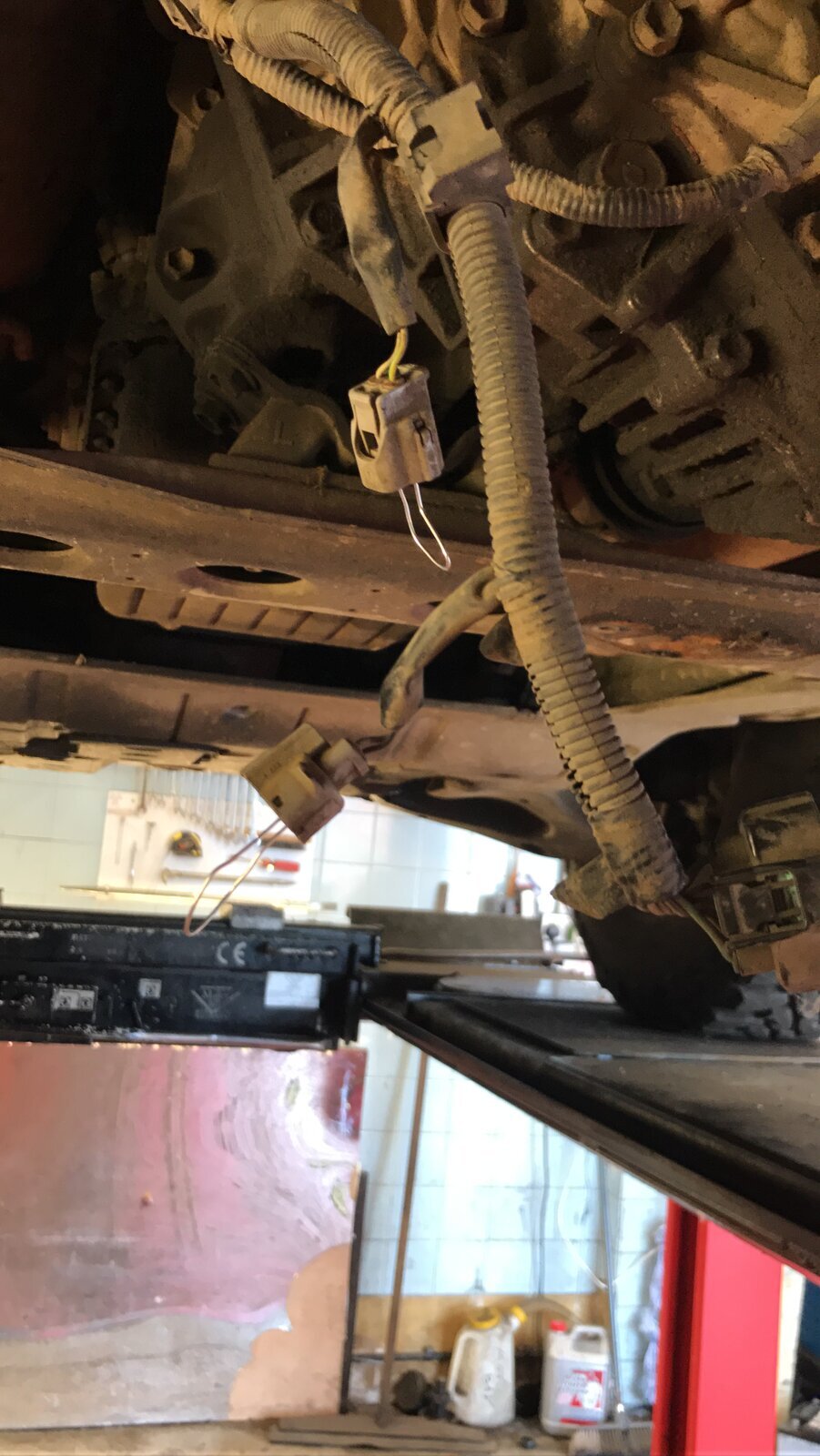 97C337FB-2FD6-4AB6-85DB-B95BABEE87B5.jpg