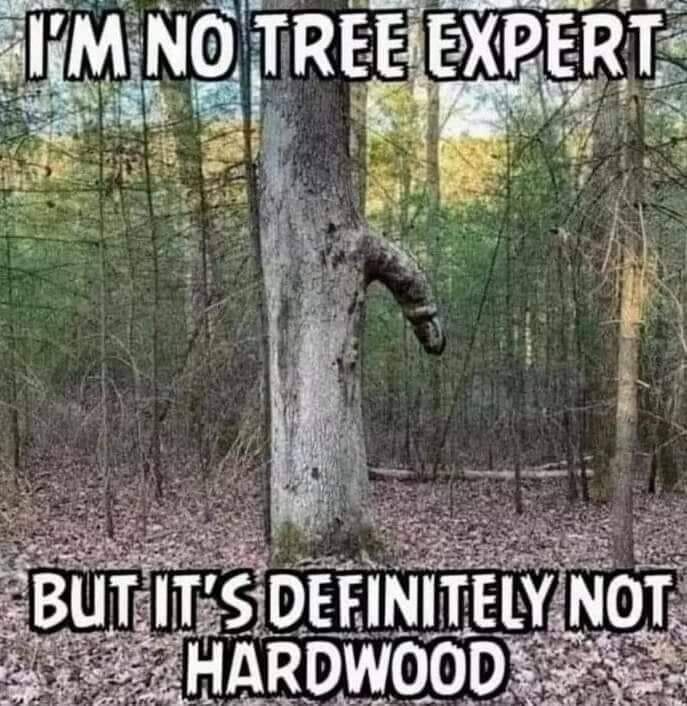 Hardwood.jpg