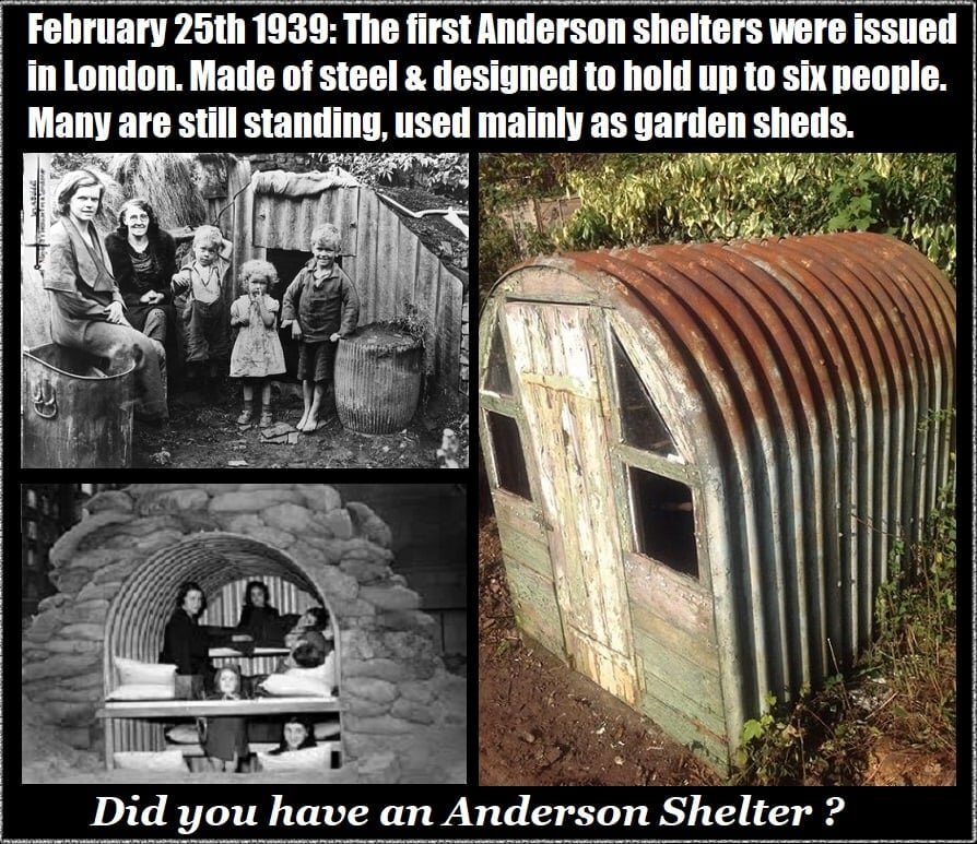 Shelter.jpg