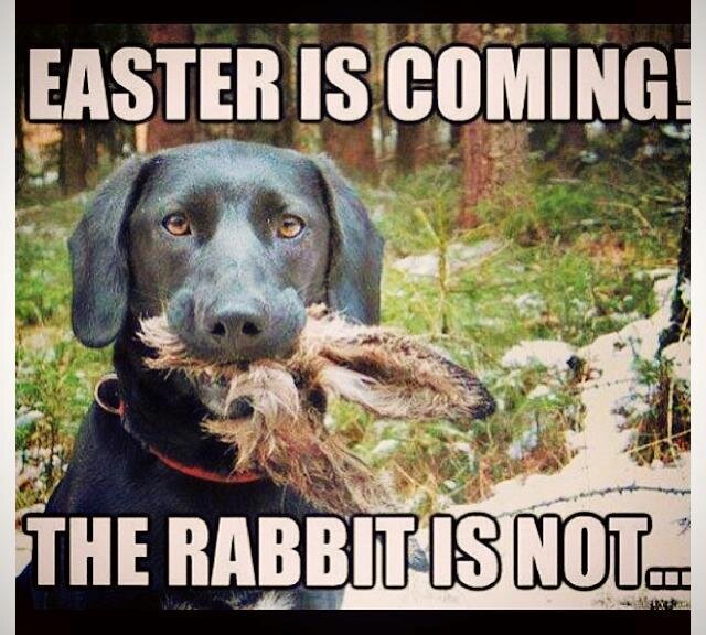 easter.jpg