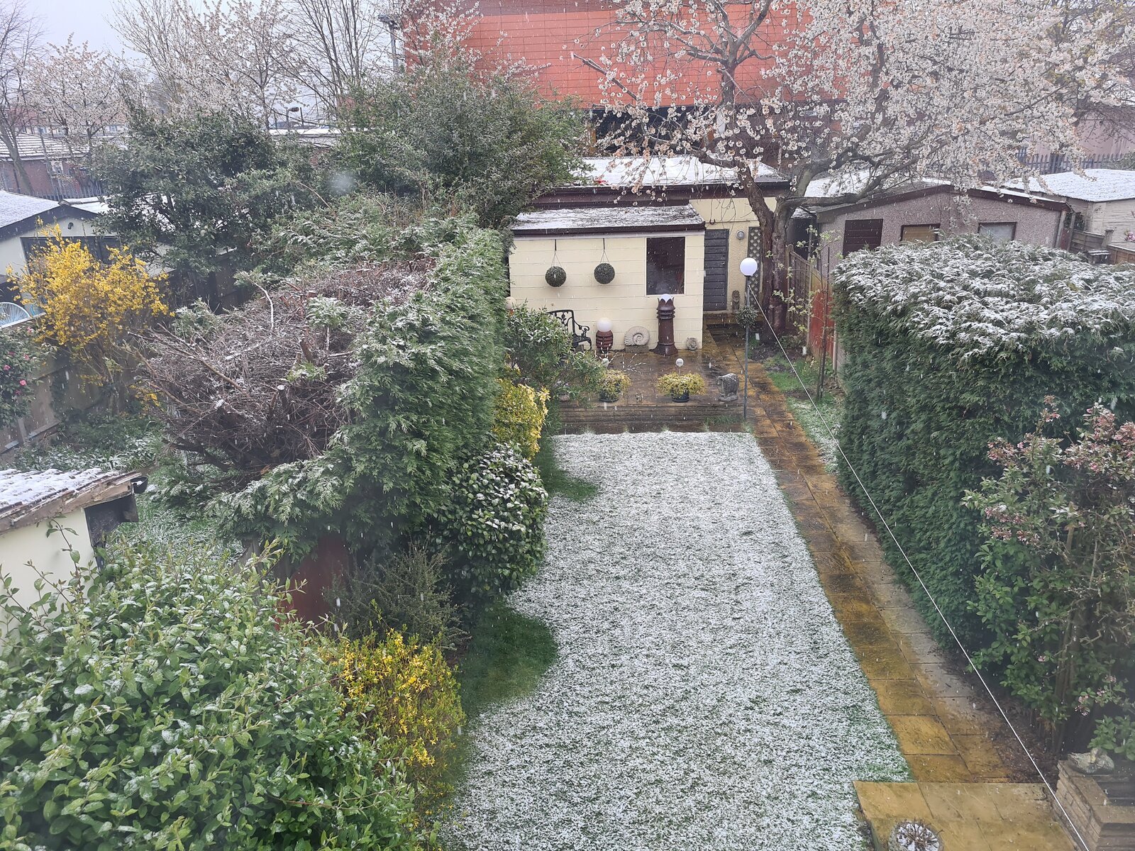 Snow.jpg
