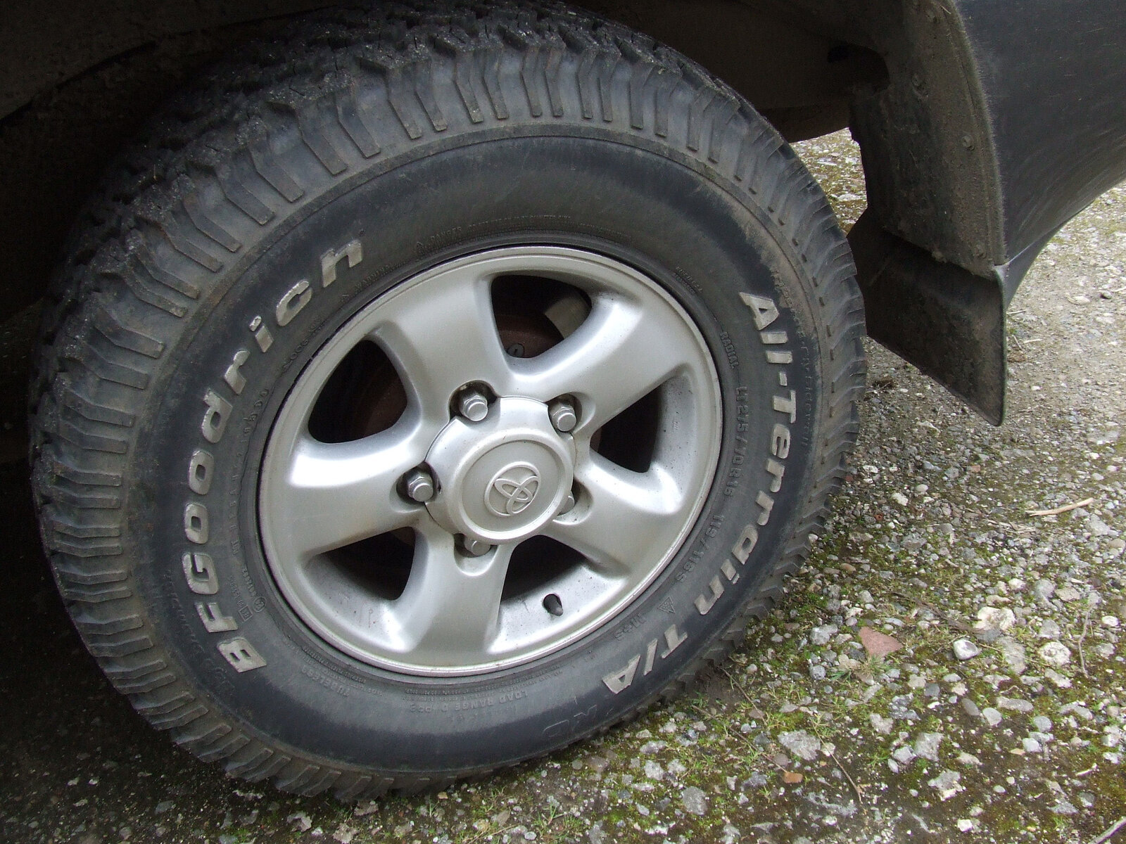 wheel.jpg