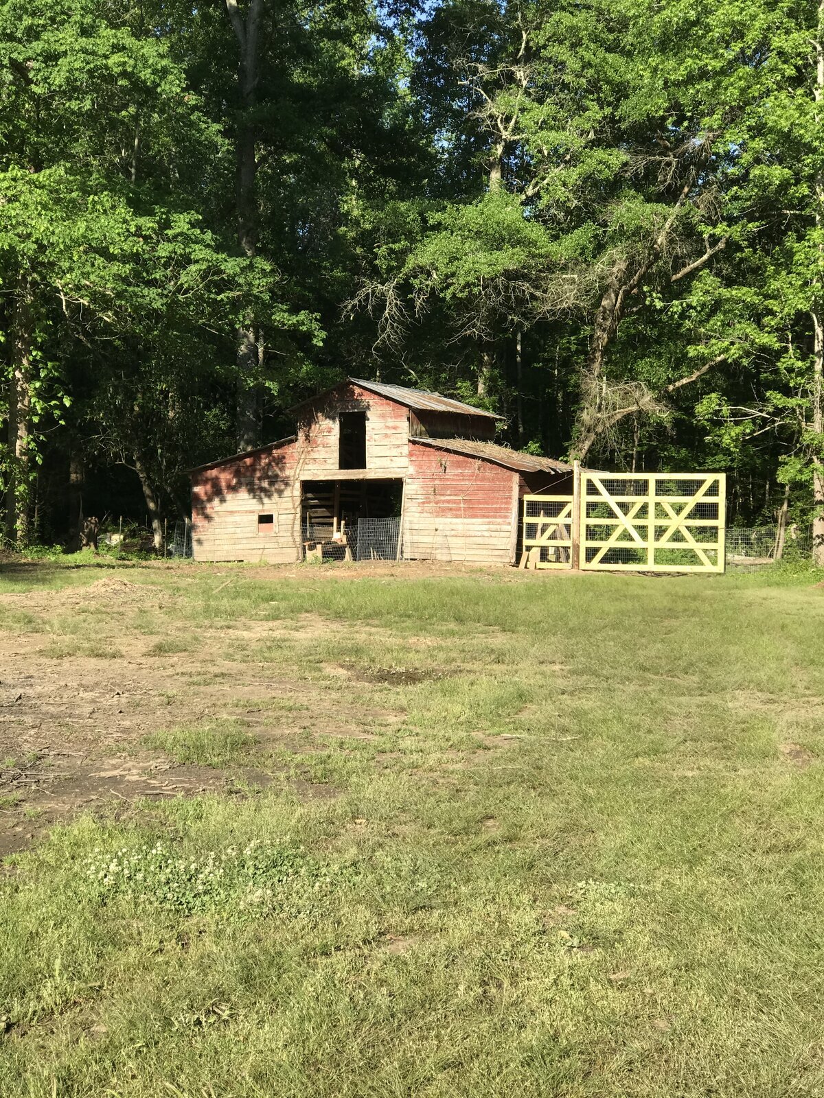 IMG_0306.JPG
