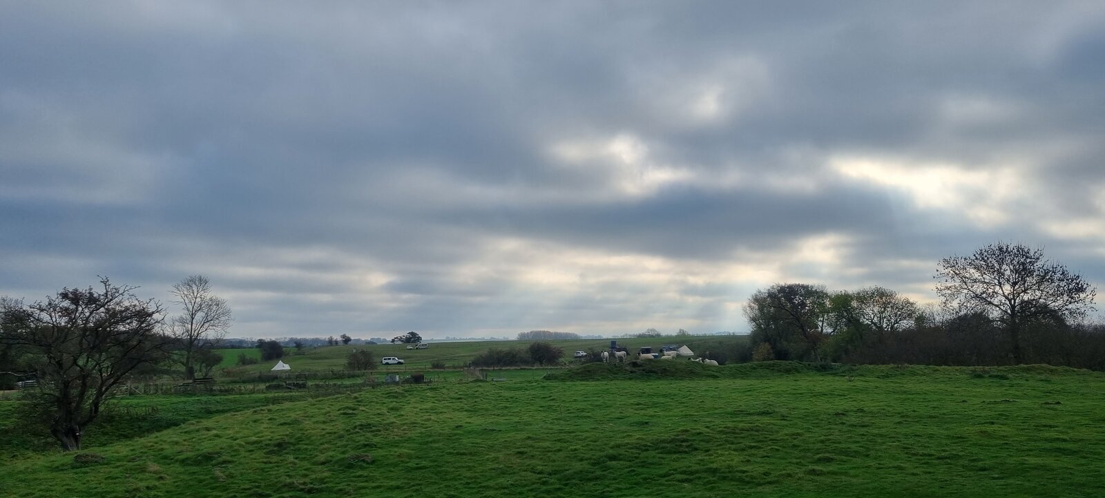 20221112_101703.jpg