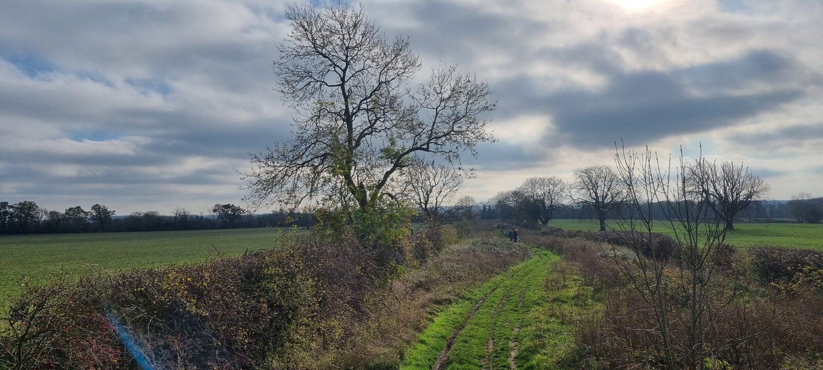 20221112_112833.jpg