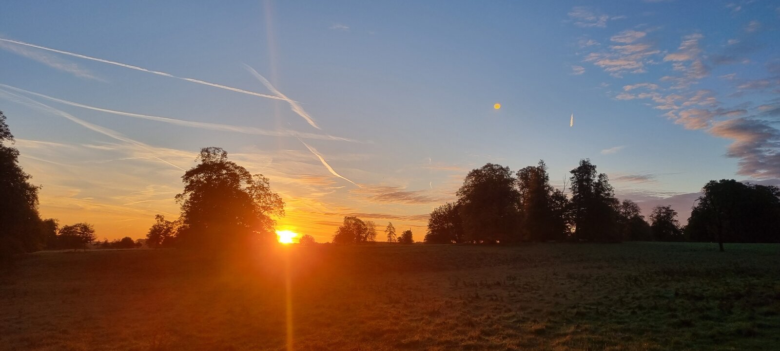 20231022_074923.jpg
