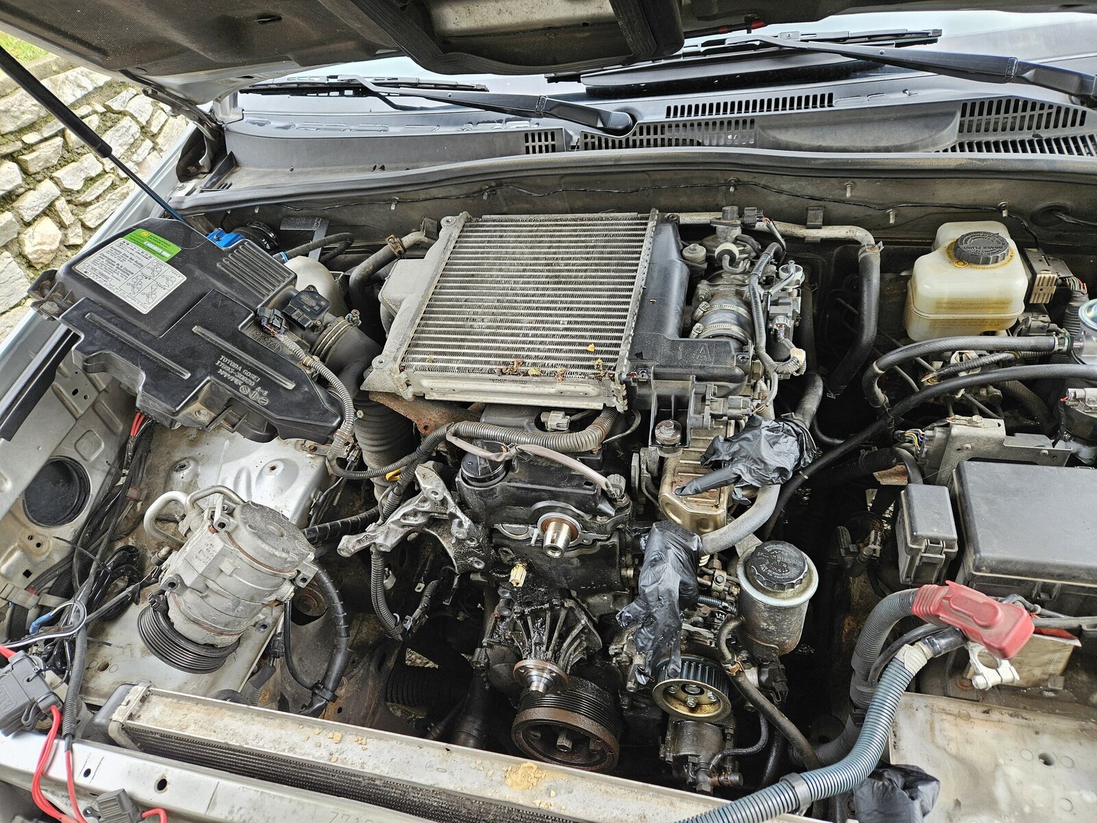 20240928_122344.jpg
