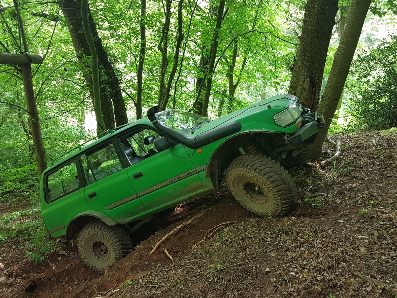 20190601_170631.jpg