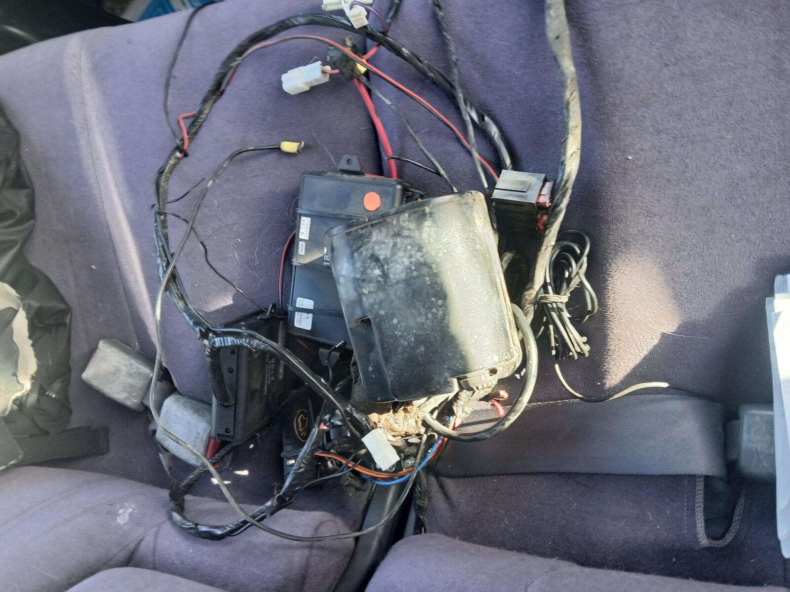 72CBF611.jpg