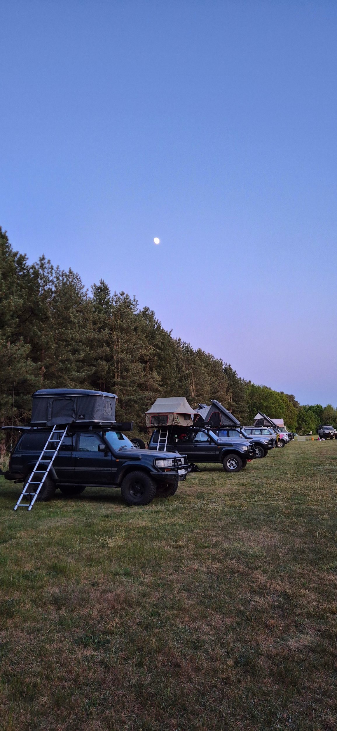 20250509_205418.jpg