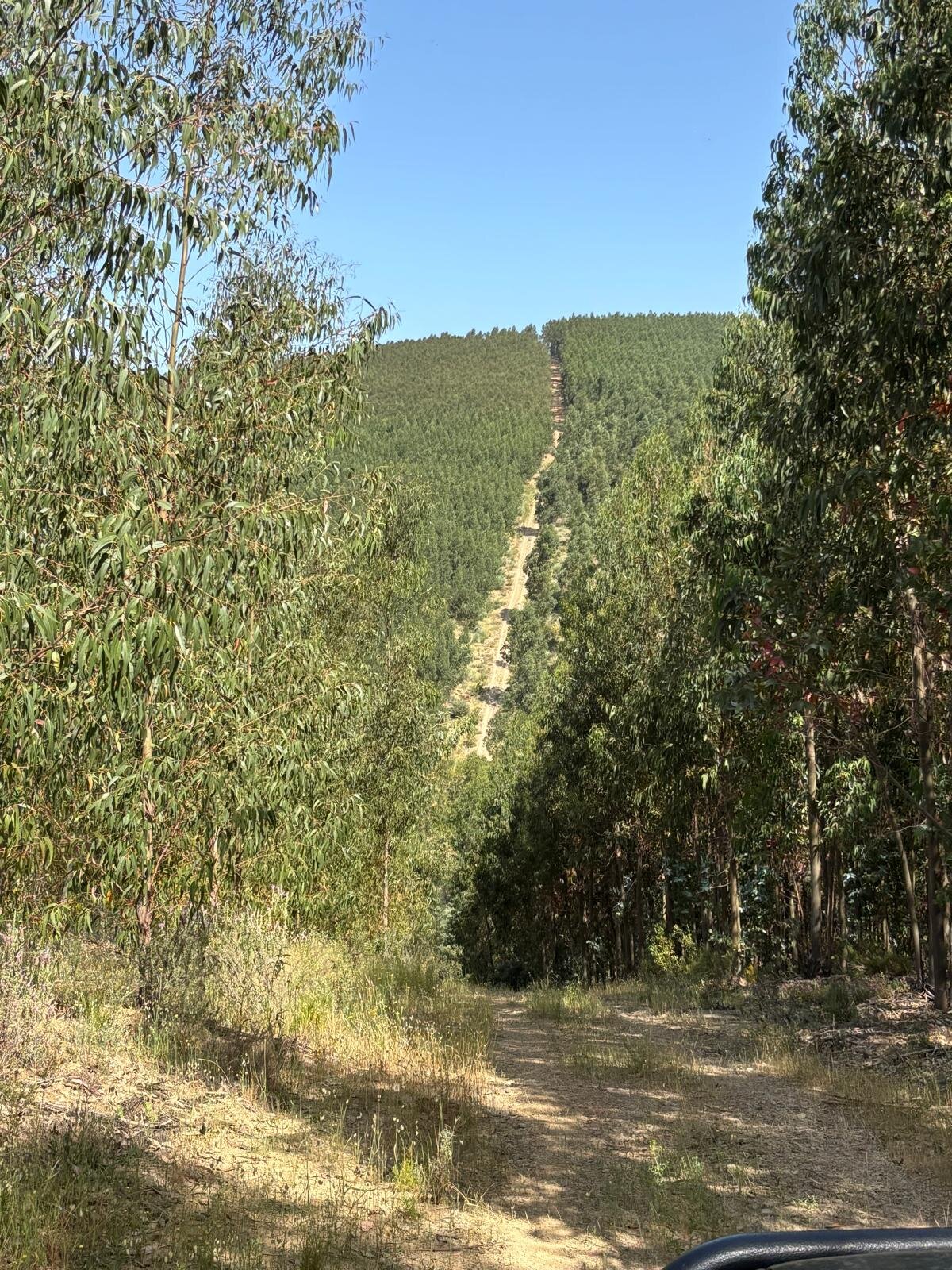 IMG-20250531-WA0025.jpg