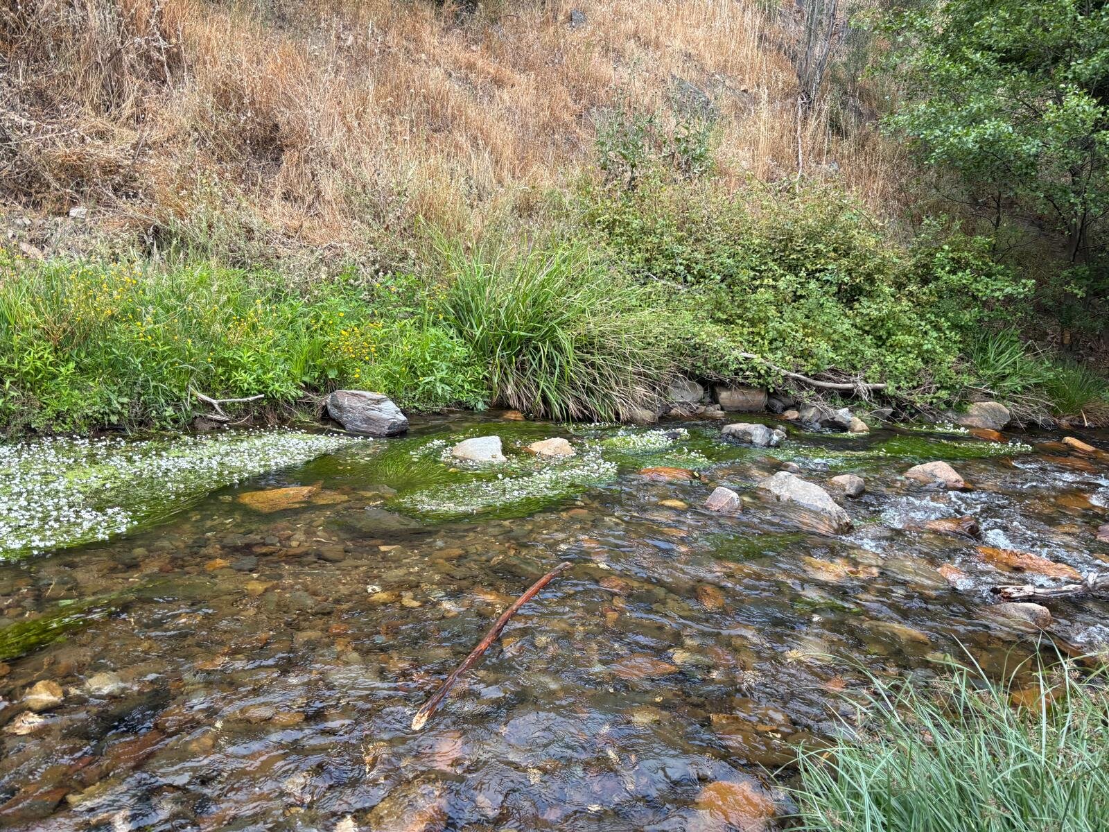 IMG-20250604-WA0006.jpg