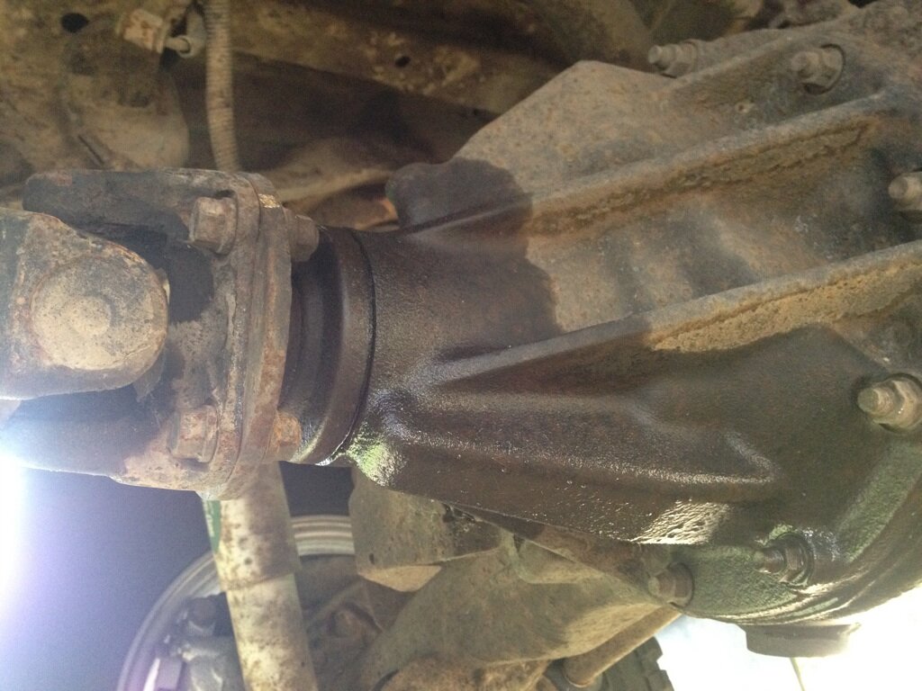 Rear Diff Input Shaft Web.jpg