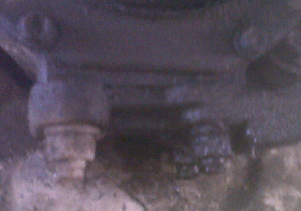 IMG00030-20120526-1306.jpg