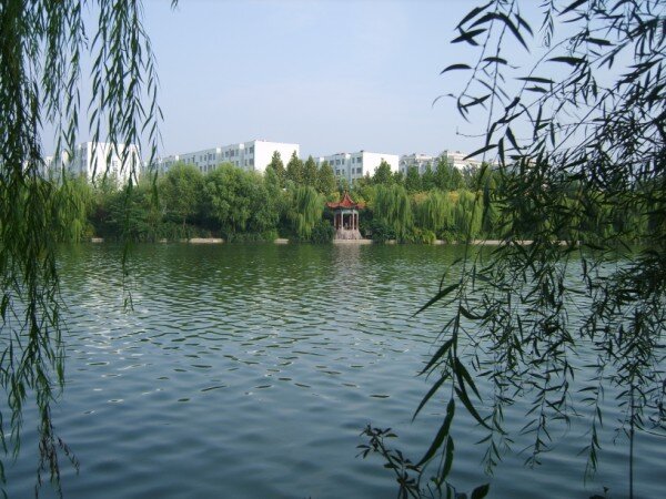 Weifang (2).jpg
