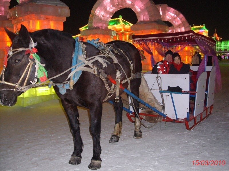 Harbin Ice Fesival 2010 (7).JPG