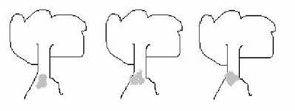 tree 2.jpg