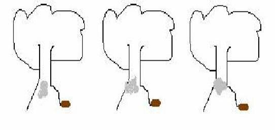 tree 3.jpg