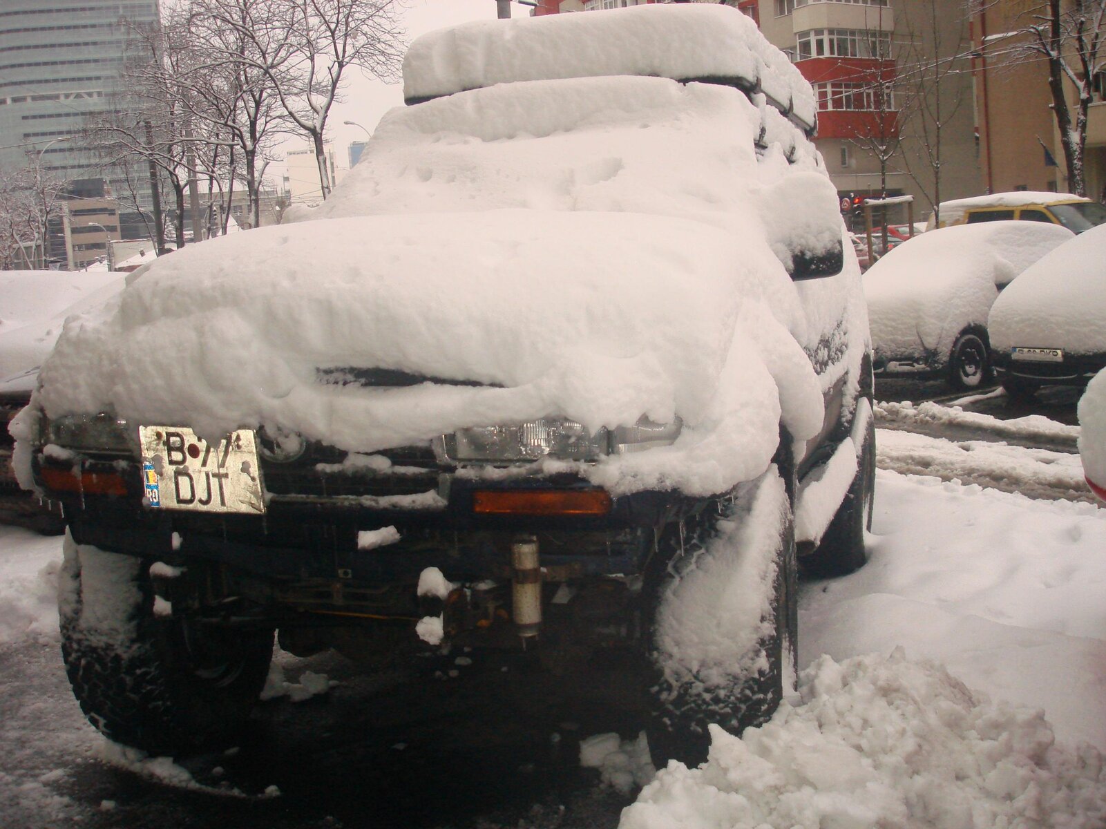 DSC09794.jpg