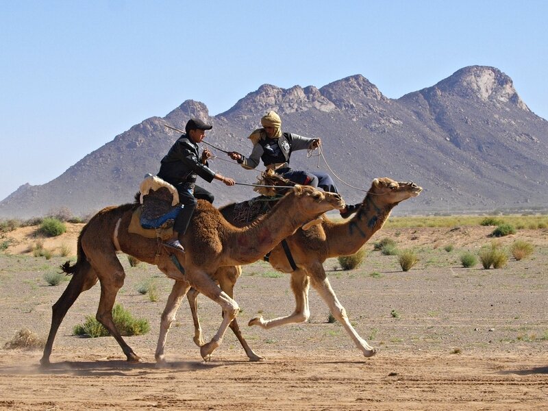 aws_camelRace_030.jpg