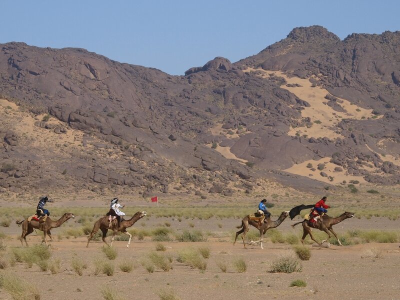 aws_camelRace_140.jpg