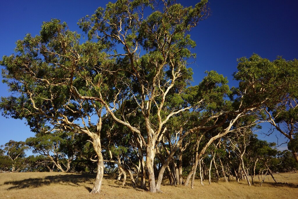 photo1.JPG