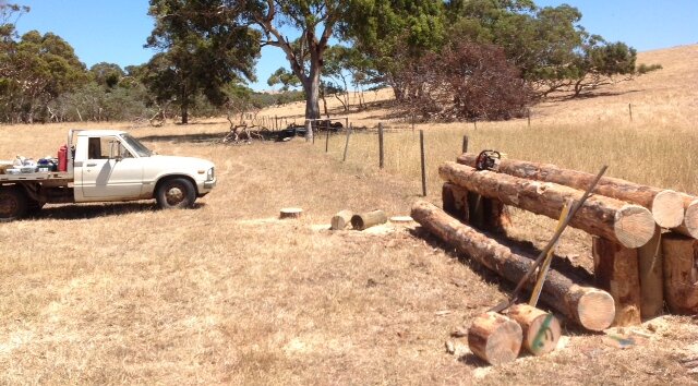 photo04 My borrowed 1979 hilux.JPG