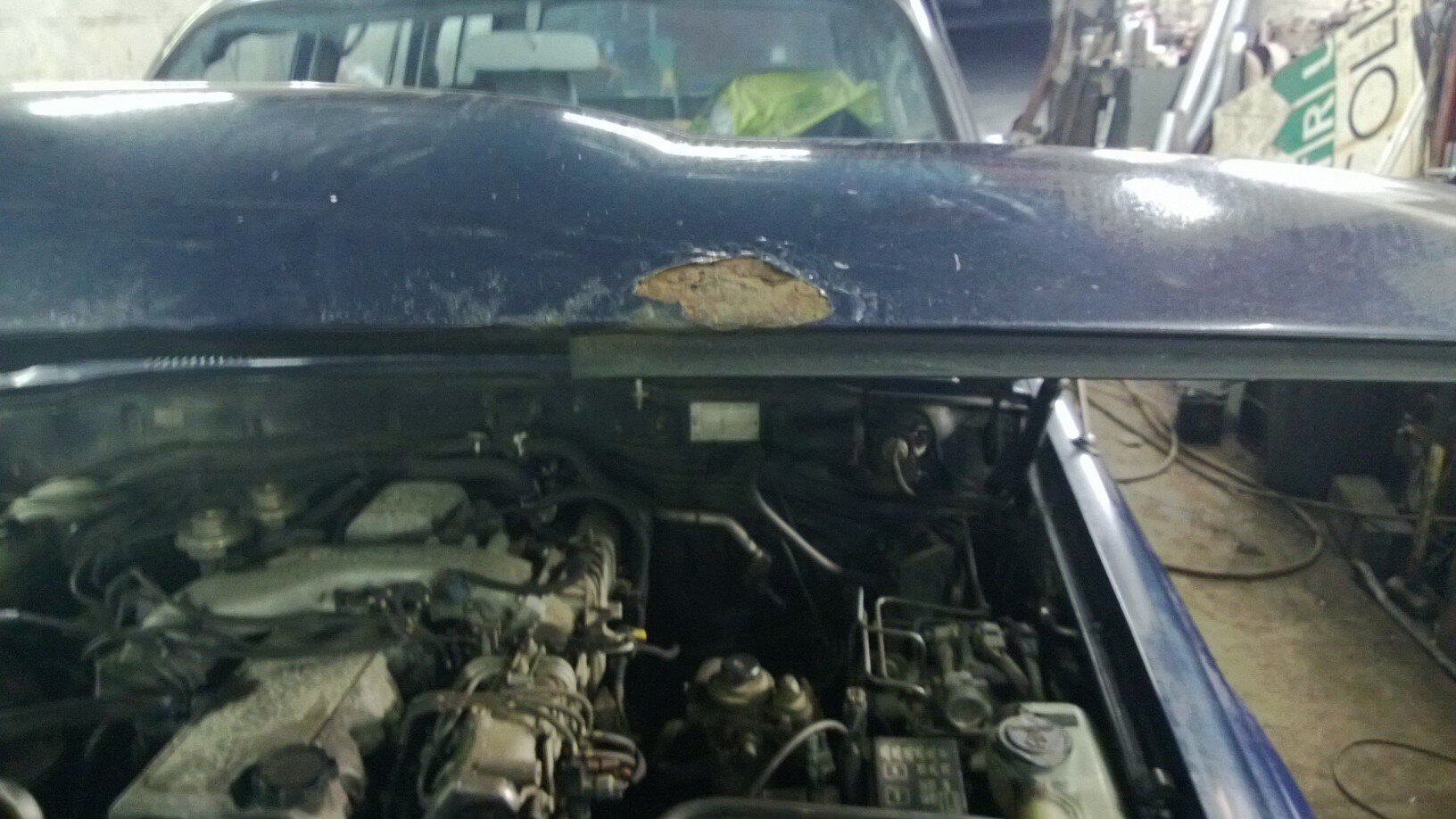 WP_20130124_023.jpg