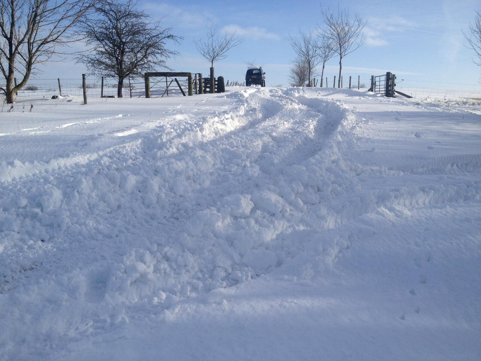 snow fun.jpg