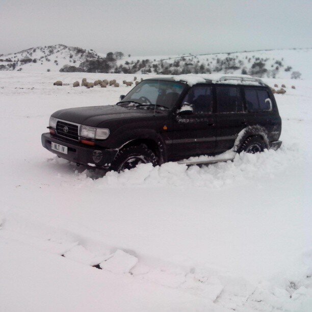 snow fun 5.jpg