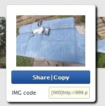 img.jpg