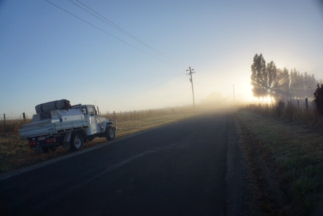 photo11 early morning in tassie.JPG