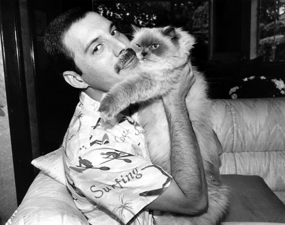 freddie.jpg