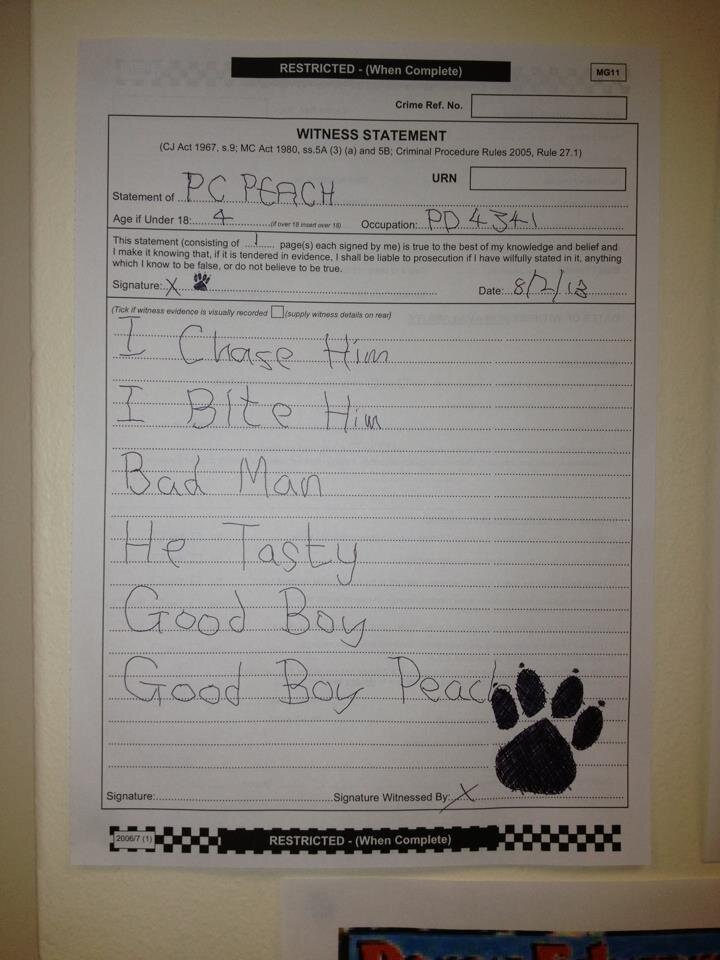 PC dog.jpg