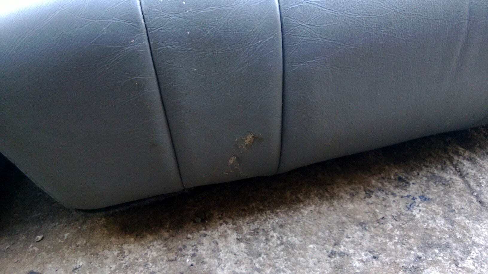 WP_20130223_009.jpg