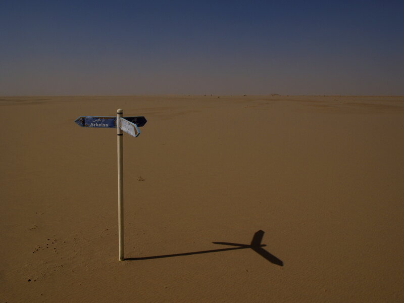 lcMauri_020.jpg