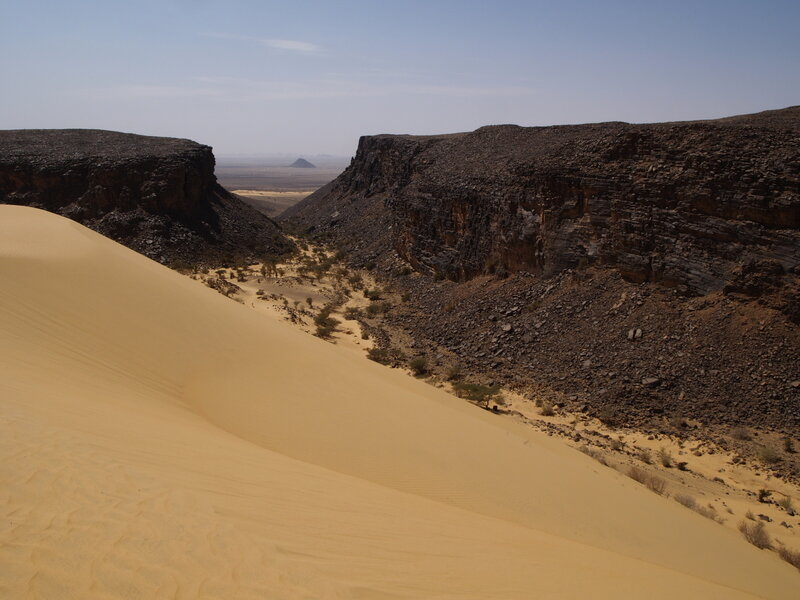 lcMauri_080.jpg