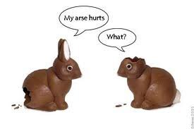 Rabbits.jpg